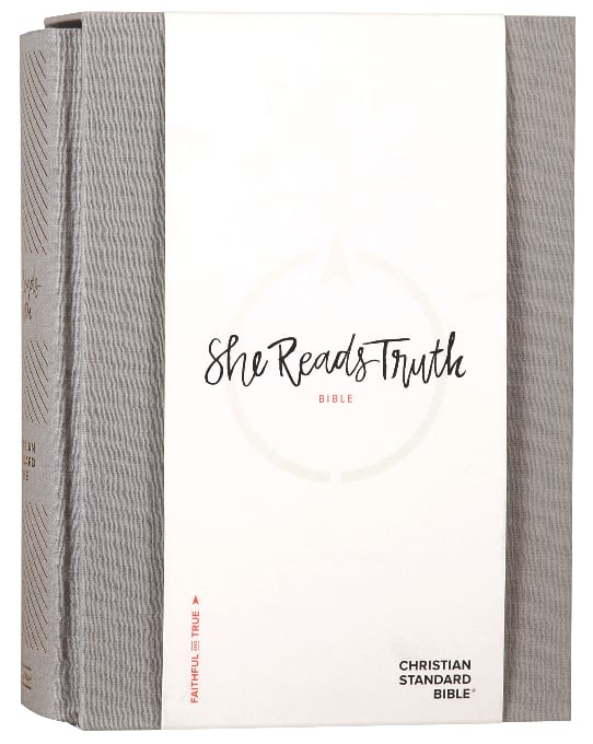 Close-up of CSB She Reads Truth Bible in gray linen cover