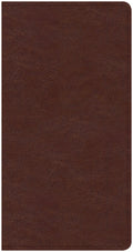 CSB Share Jesus Without Fear New Testament Brown