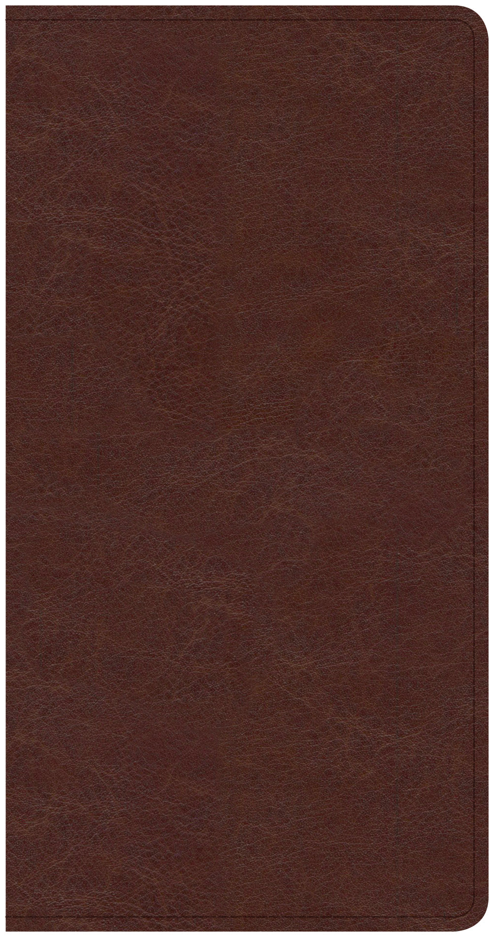 CSB Share Jesus Without Fear New Testament Brown