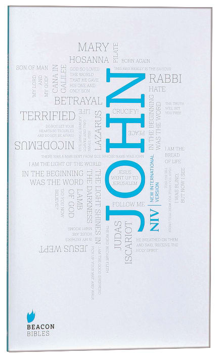 NIV New International Version Gospel of John Bible book