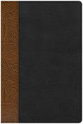CSB Rainbow Study Bible Black/Tan