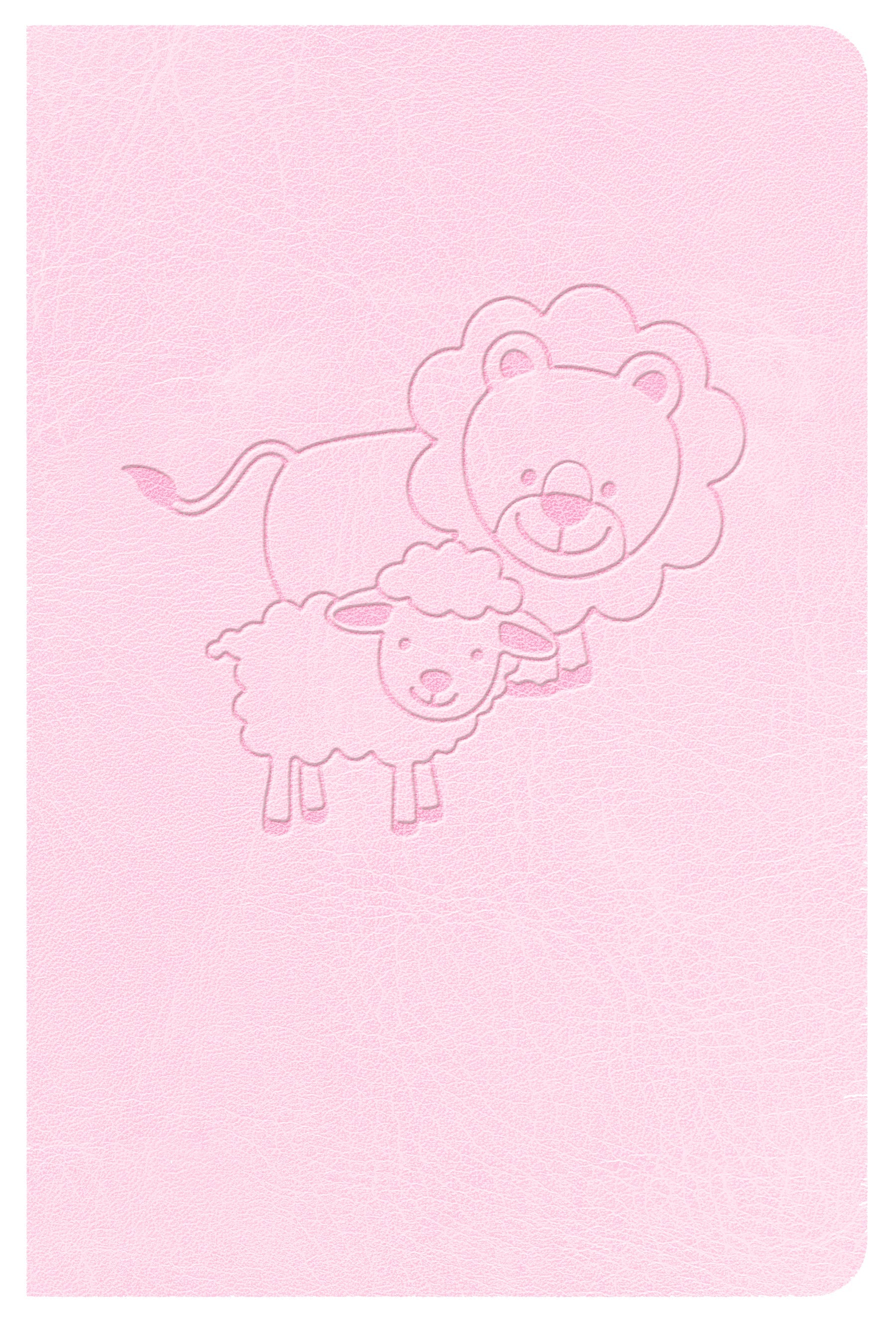 CSB Kids' Bible in Pink Red Letter Edition for young readers