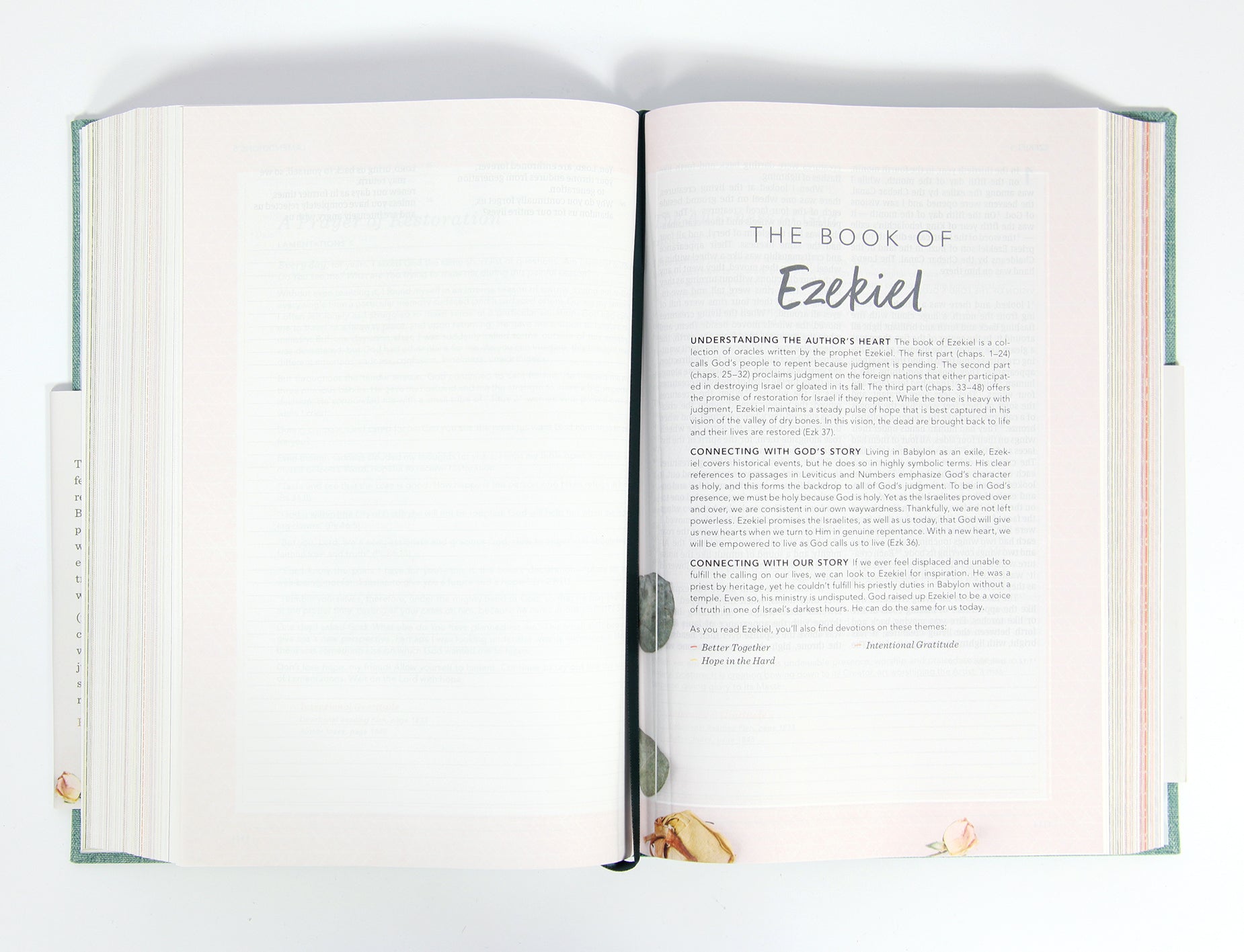 CSB (In)Courage Devotional Bible - Black Letter Edition on a luxurious wooden desk with a elegant background