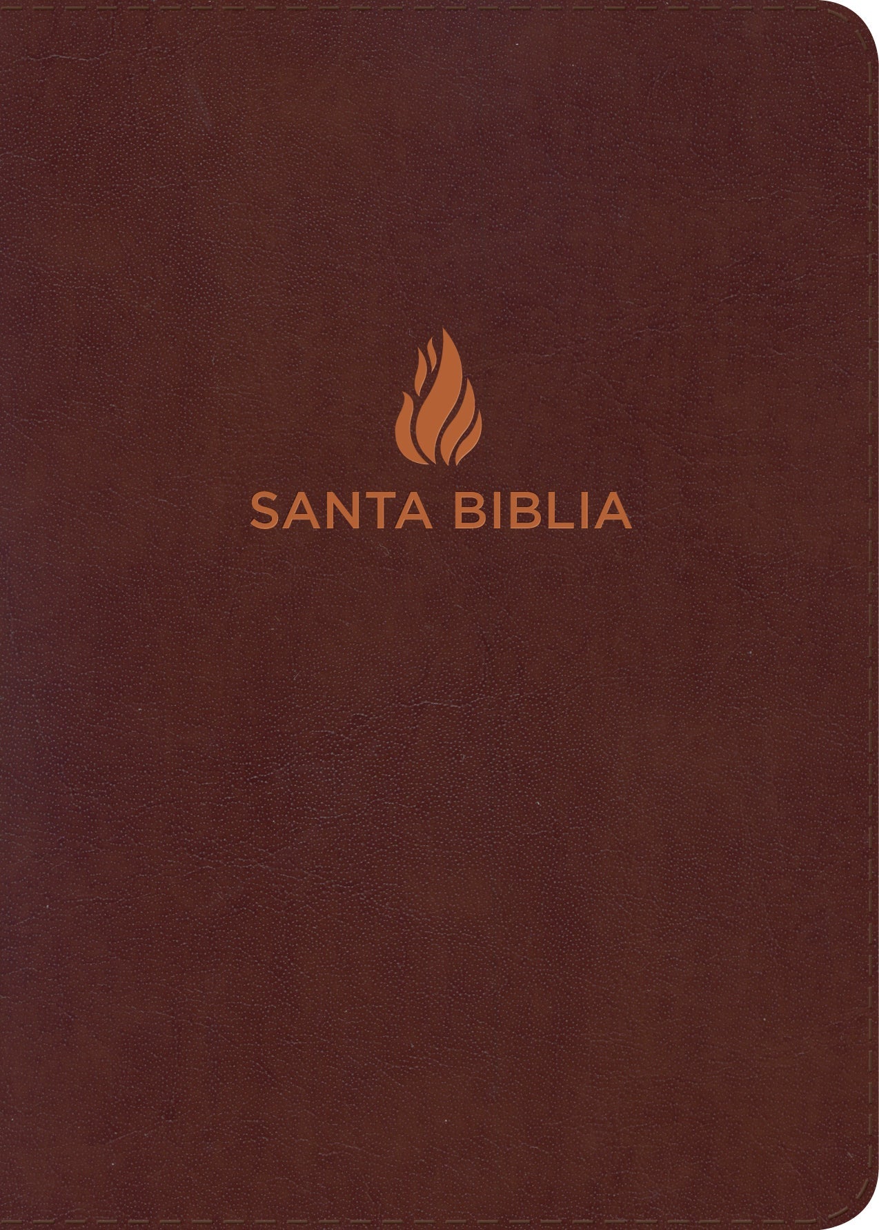 RVR 1960 Spanish Bible with large print and red letter edition