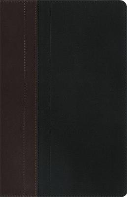 Personal size NIV Study Bible, Chocolate/Black Duo-Tone leather cover
