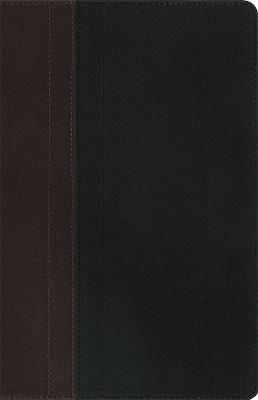 NIV Study Bible, Chocolate/Black Duo-Tone Personal Size, Christian Bible