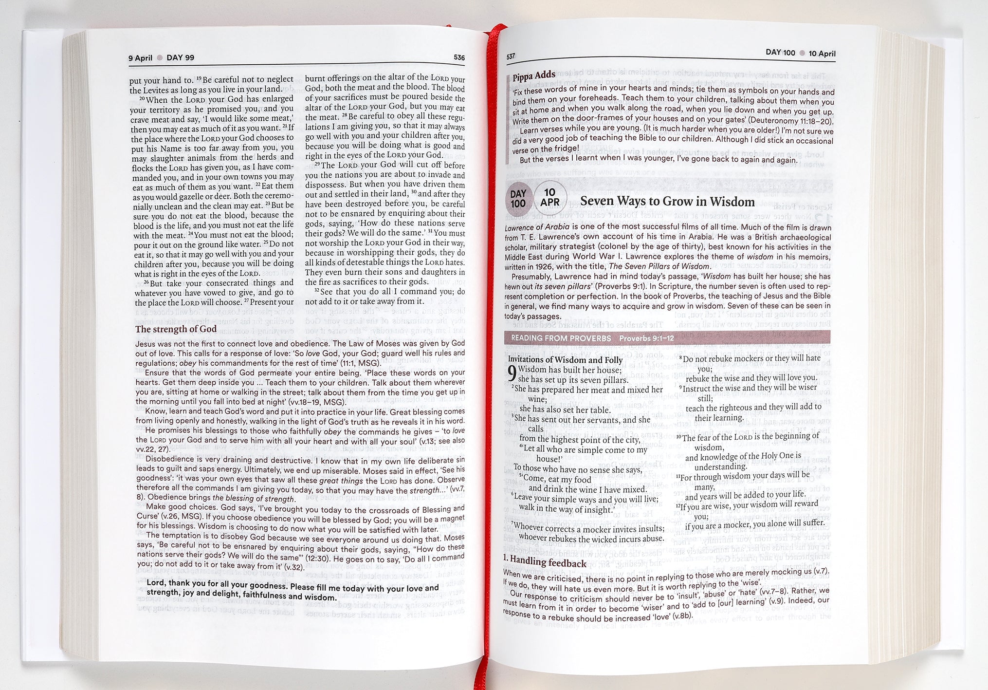 NIV Bible, One Year Study with Daily Commentary, In-Depth Scripture and Reflection