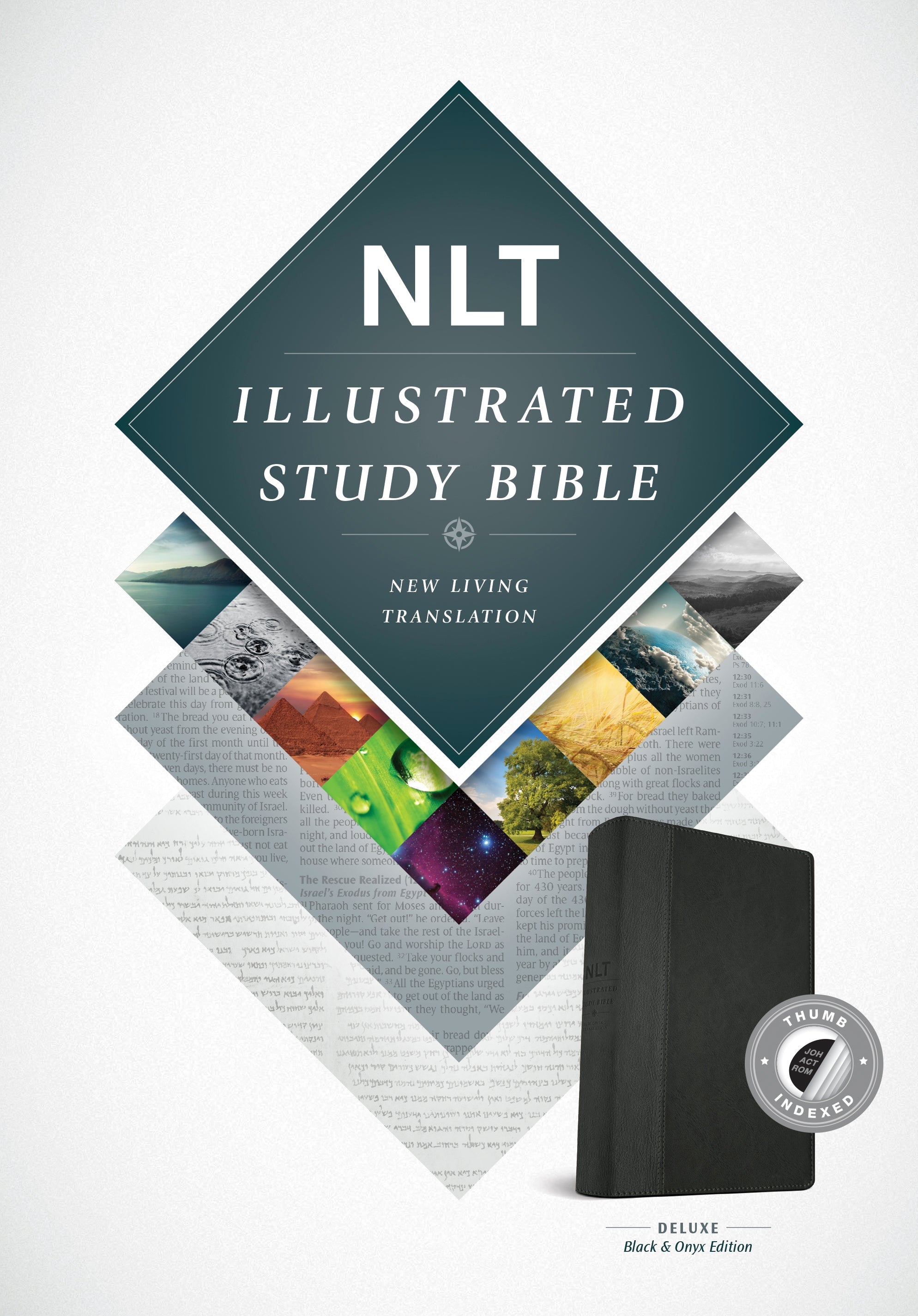 NLT Illustrated Study Bible Black/Onyx Indexed (Black Letter Edition)
