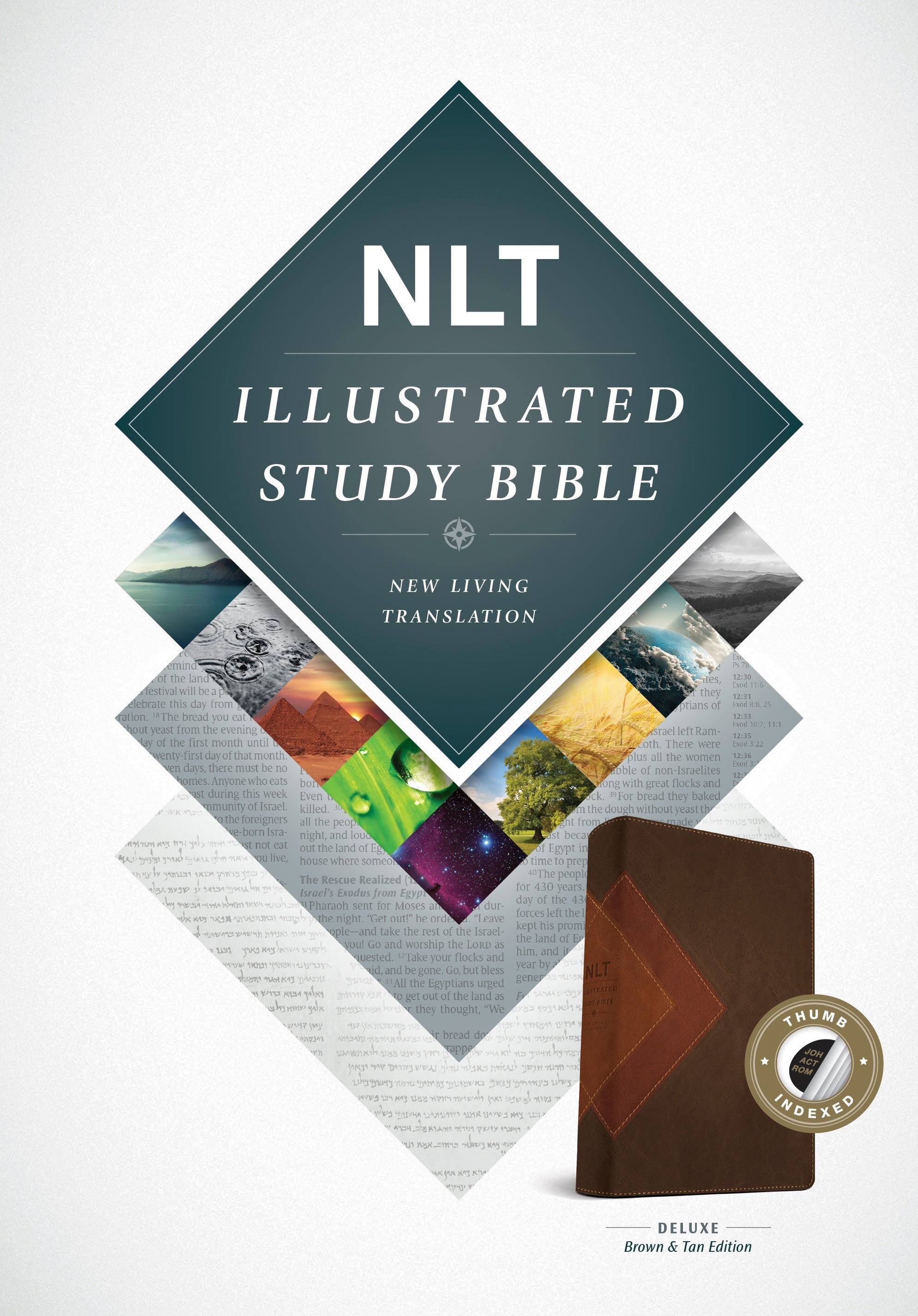 NLT Illustrated Study Bible Brown/Tan Indexed (Black Letter Edition)