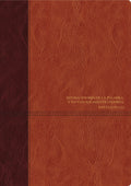 Rvr60 Biblia De Estudio Del Diario Vivir Brown/Tan Indexed (Red Letter Edition)