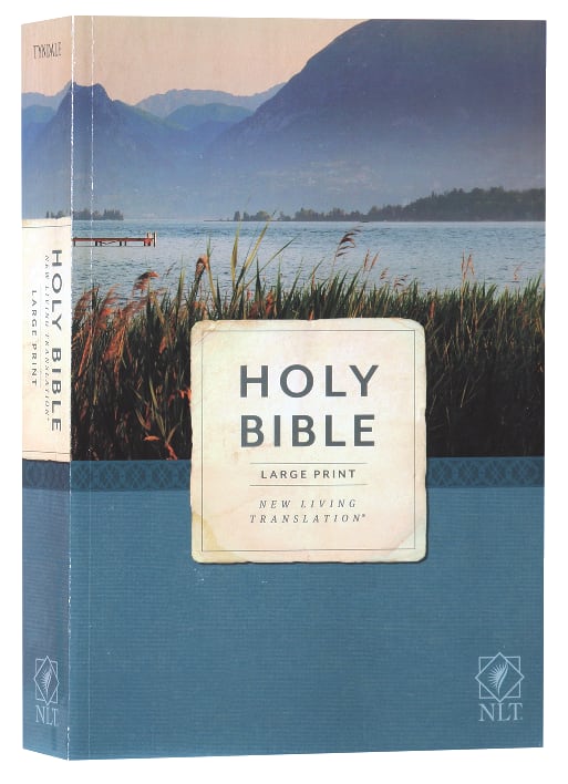 New Living Translation Economy Outreach Bible in large print with black lettering.