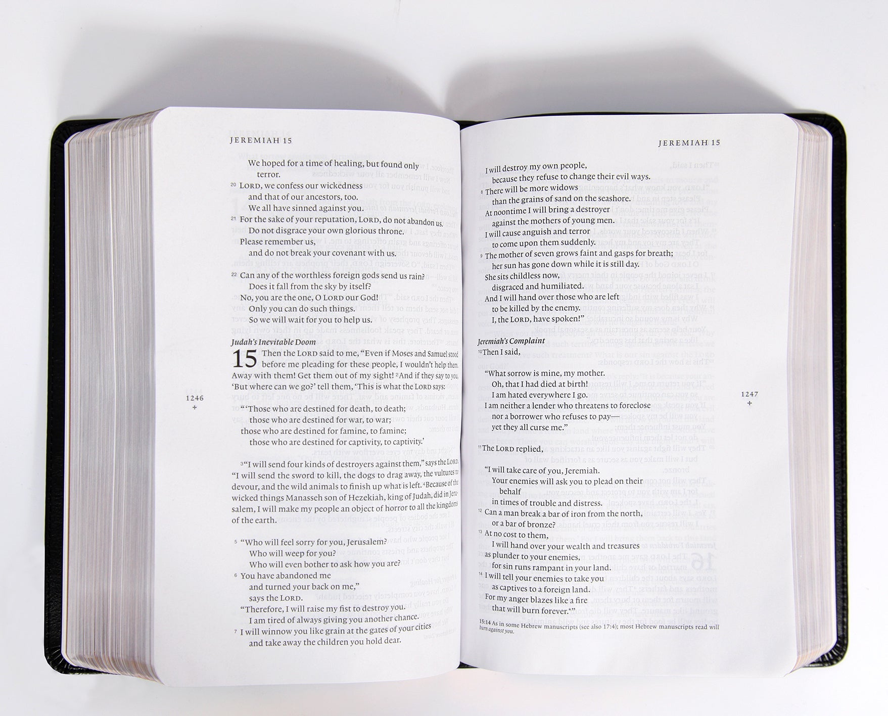 Black letter NLT Filament Bible available in print and digital formats