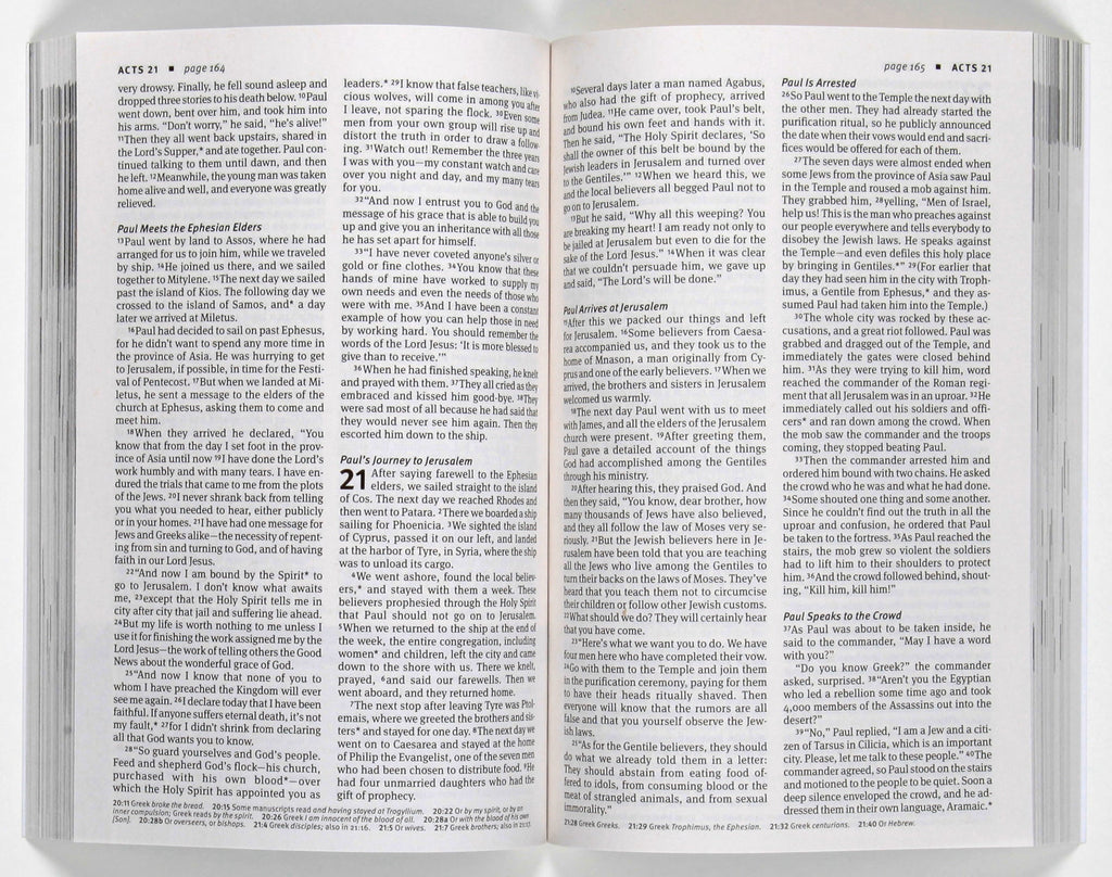 New Believer's Bible New Testament in Black Letter Edition