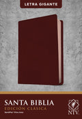 Spanish Bilingual Bible with International Scripture and Reina Valera translation