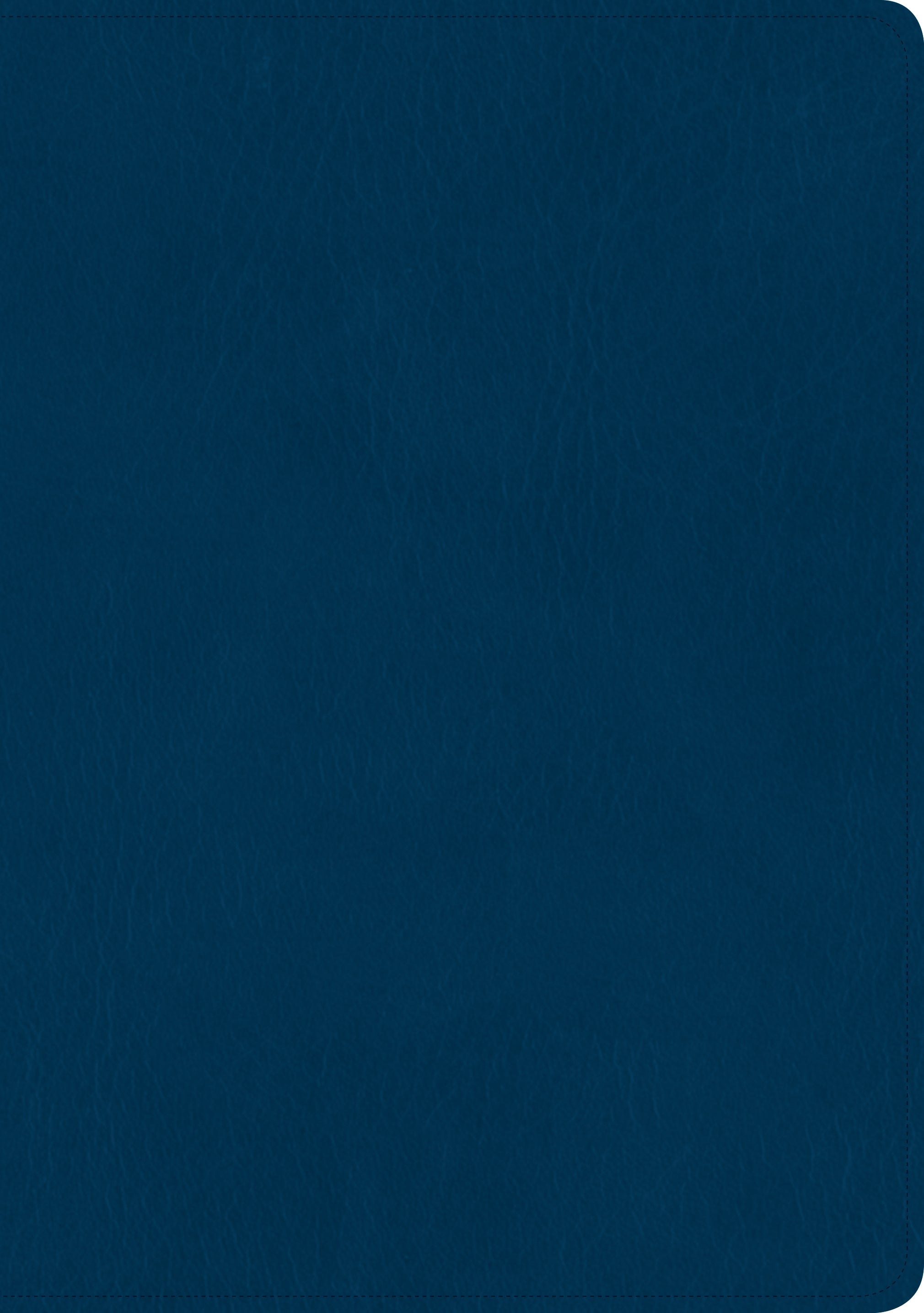 Spanish Giant Print Blue Edition Bible with red letters for easier reading and understanding.
