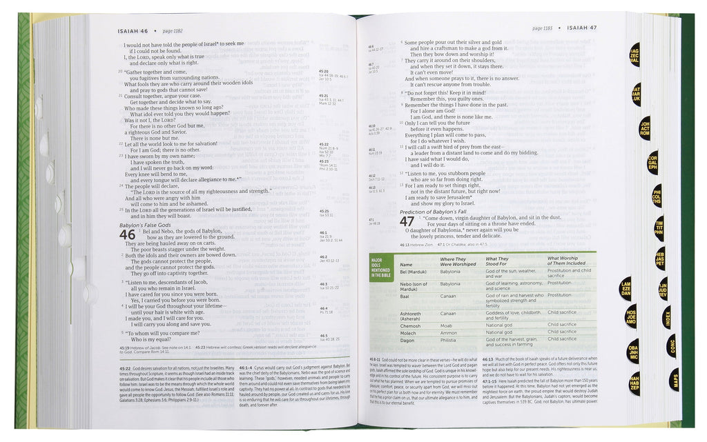 NLT Life Application Study Bible, 3rd Edition, Indexed, Red Letter Edition