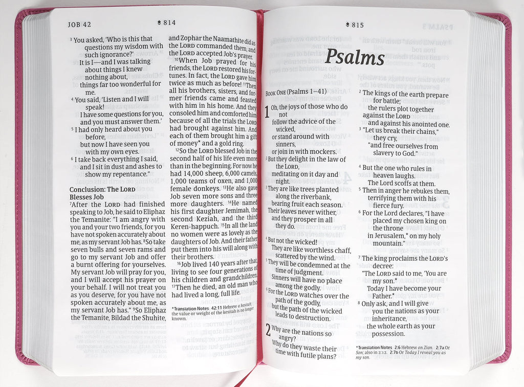 Filament Enabled NLT Bible, Giant Print Personal Size Bible with Red Letter Edition