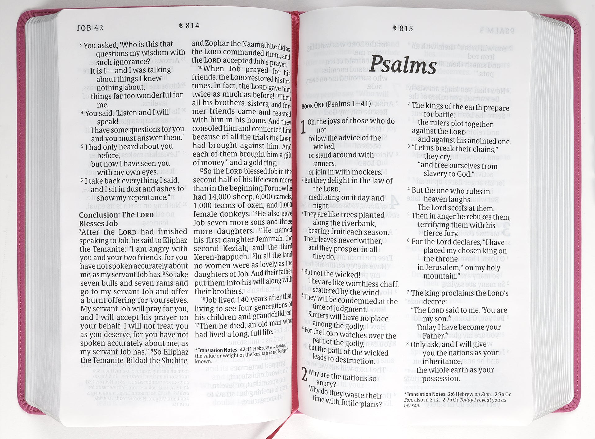 Filament Enabled NLT Bible, Giant Print Personal Size Bible with Red Letter Edition