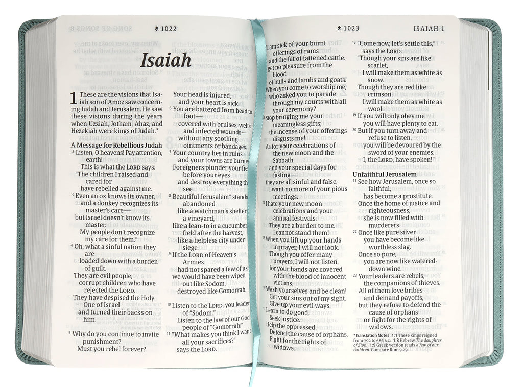 NLT Personal Size Giant Print Bible Filament Enabled Edition Floral Teal (Red Letter Edition)