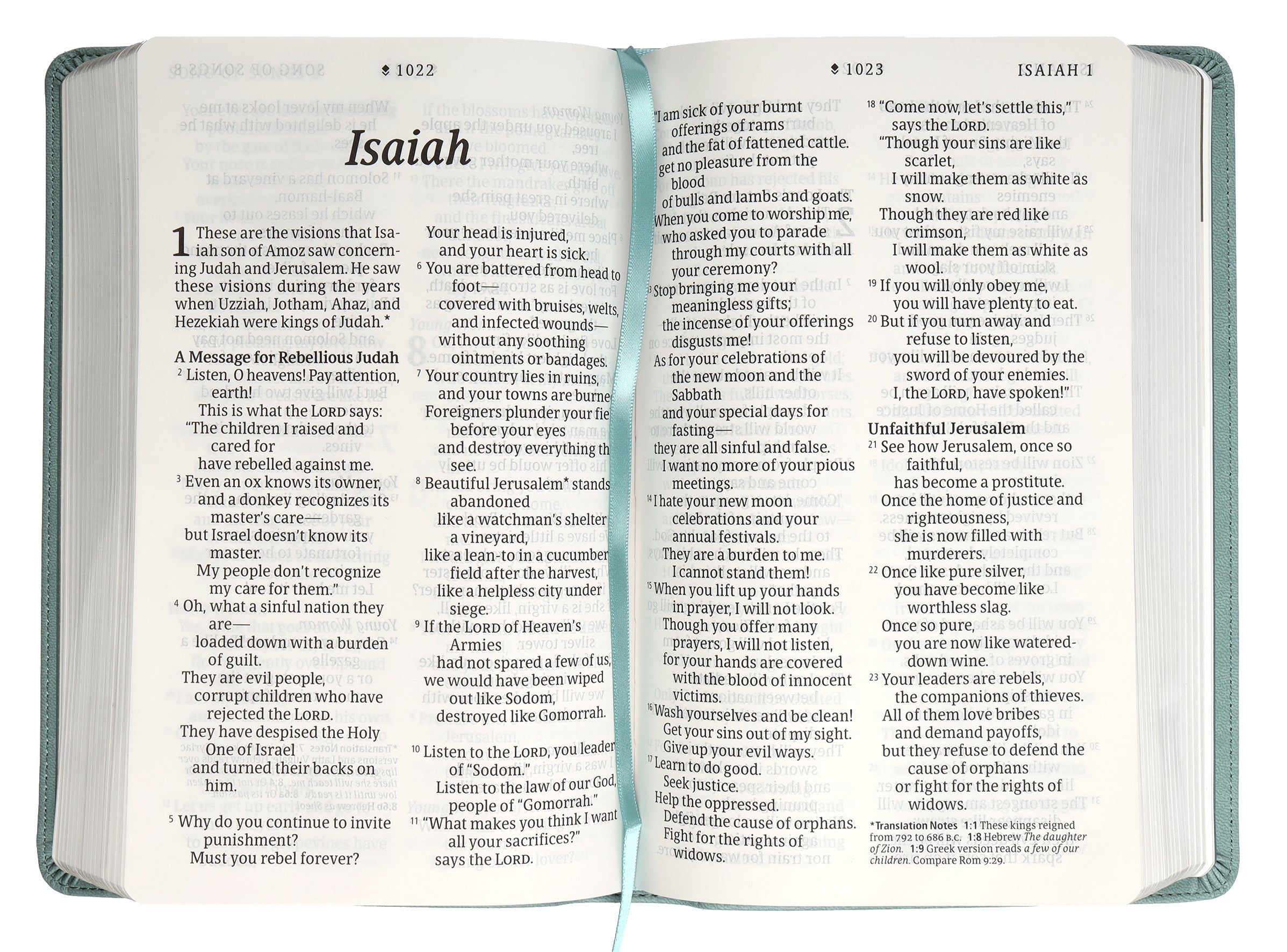 NLT Personal Size Giant Print Bible Filament Enabled Edition Floral Teal (Red Letter Edition)