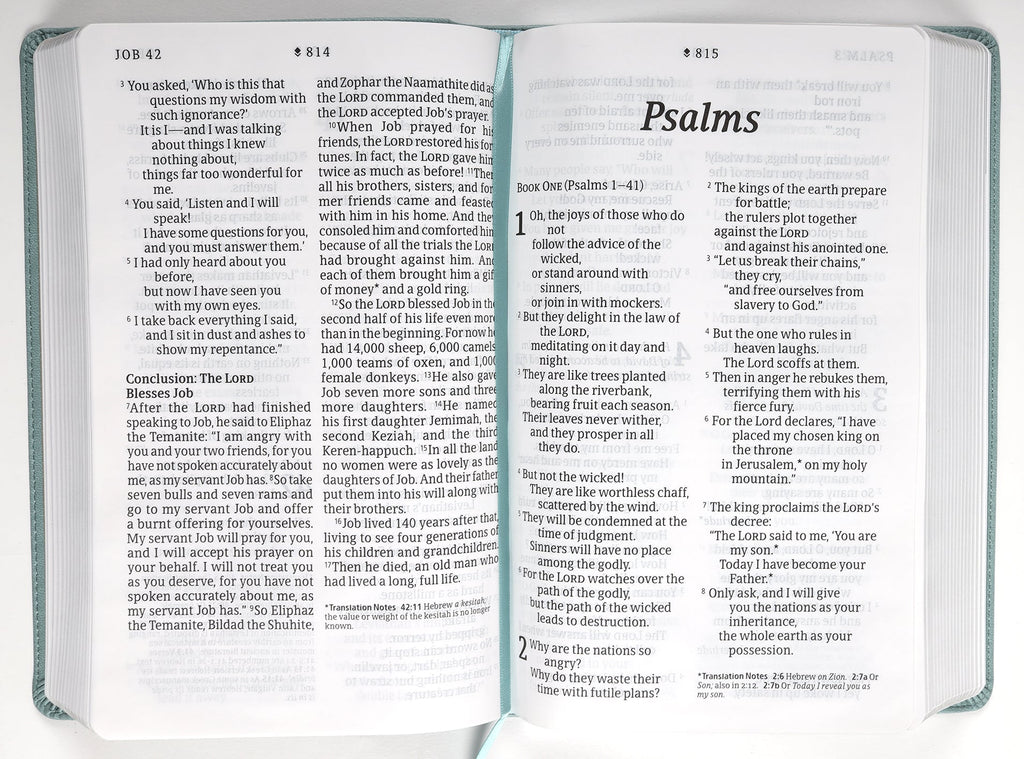 Filament Enabled New Living Translation Giant Print Bible Close-up