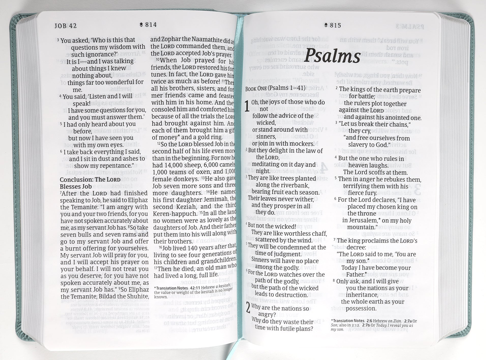 Filament Enabled New Living Translation Giant Print Bible Close-up