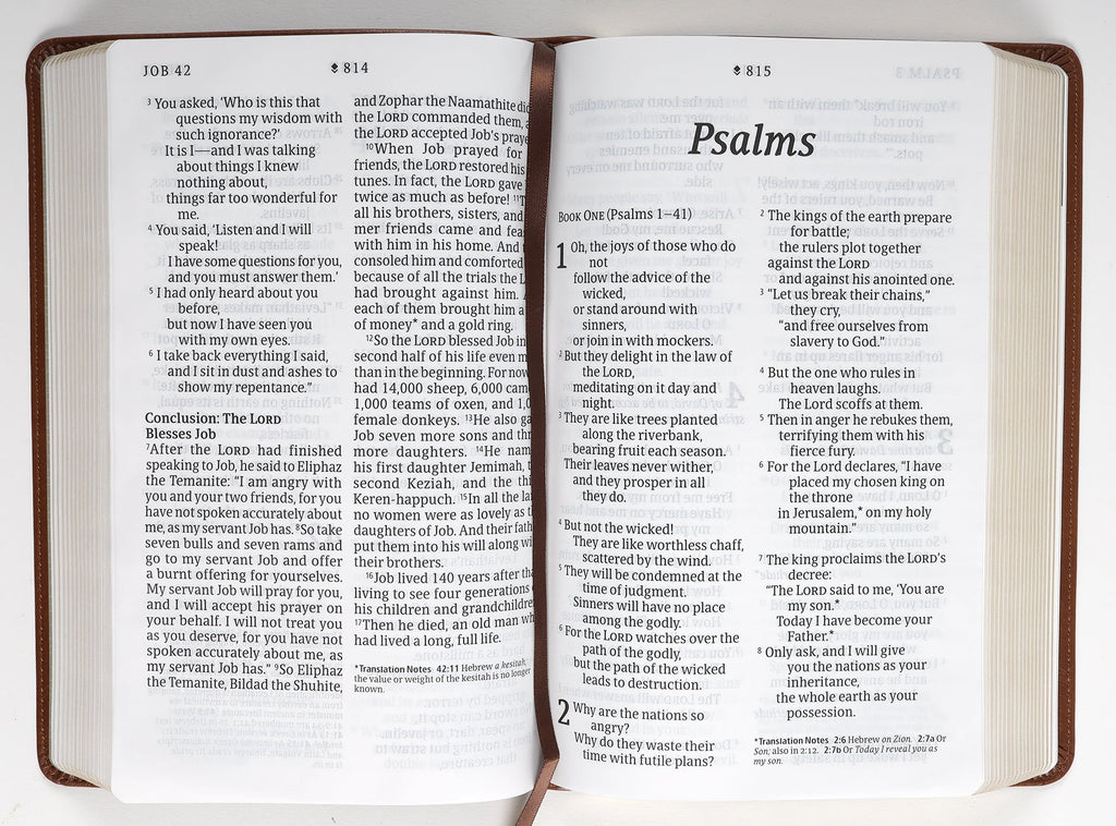 NLT Personal Size Giant Print Bible Filament Enabled Edition Rustic Brown (Red Letter Edition)