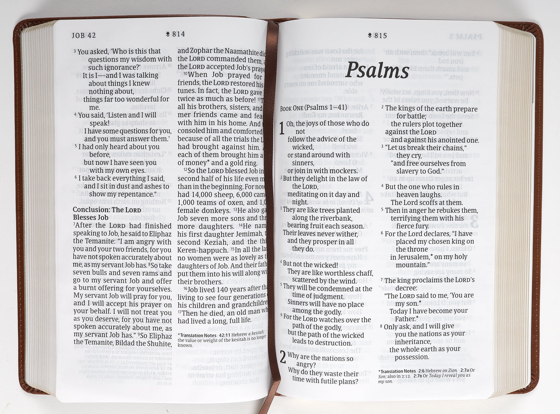 NLT Personal Size Giant Print Bible Filament Enabled Edition Rustic Brown (Red Letter Edition)