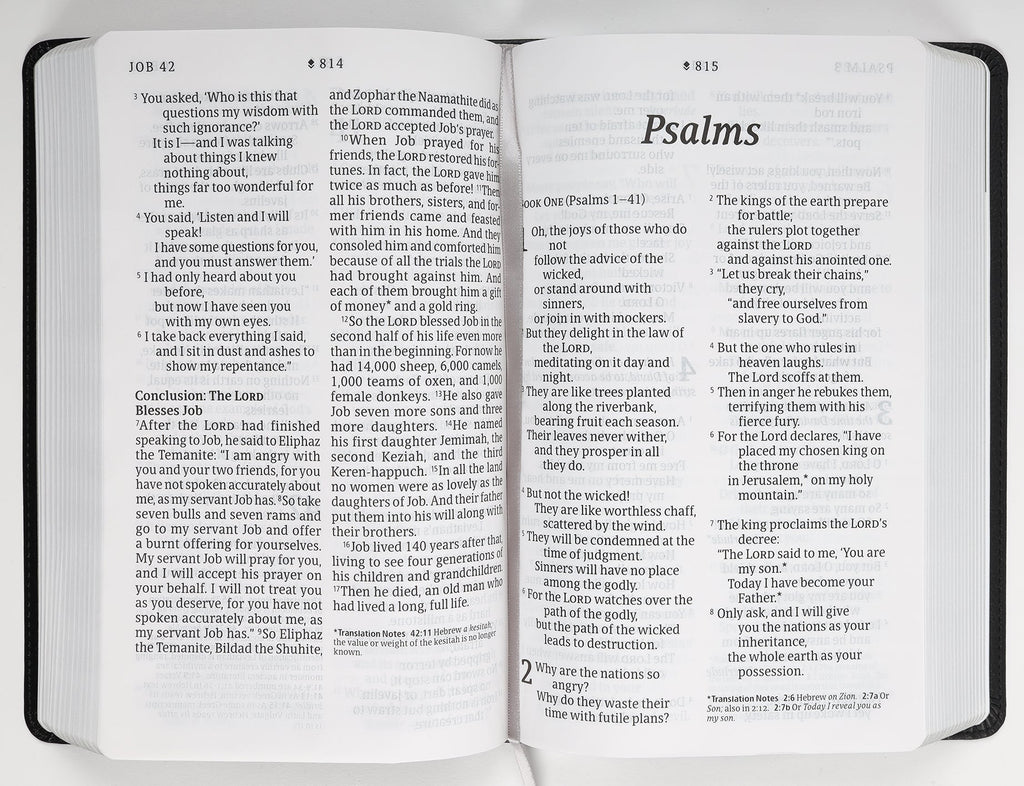NLT Personal Size Giant Print Bible Filament Enabled Edition Black/Onyx (Red Letter Edition)