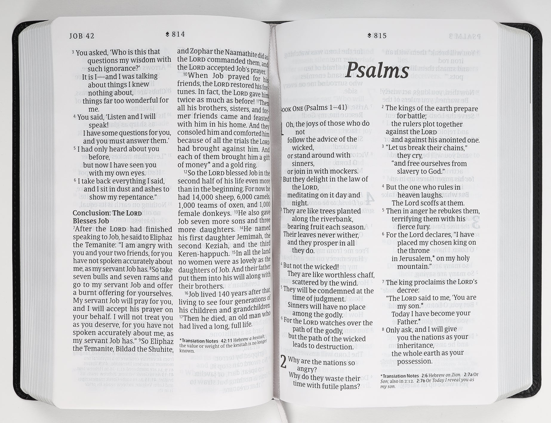 NLT Personal Size Giant Print Bible Filament Enabled Edition Black/Onyx (Red Letter Edition)