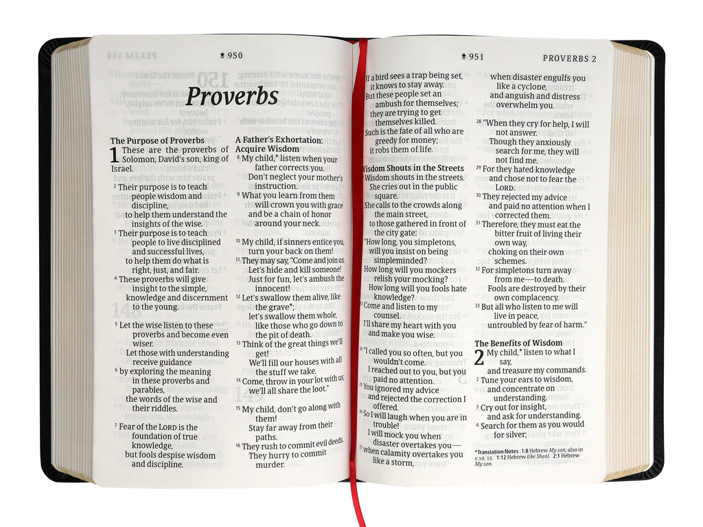 Personal size giant print Bible with red letter edition