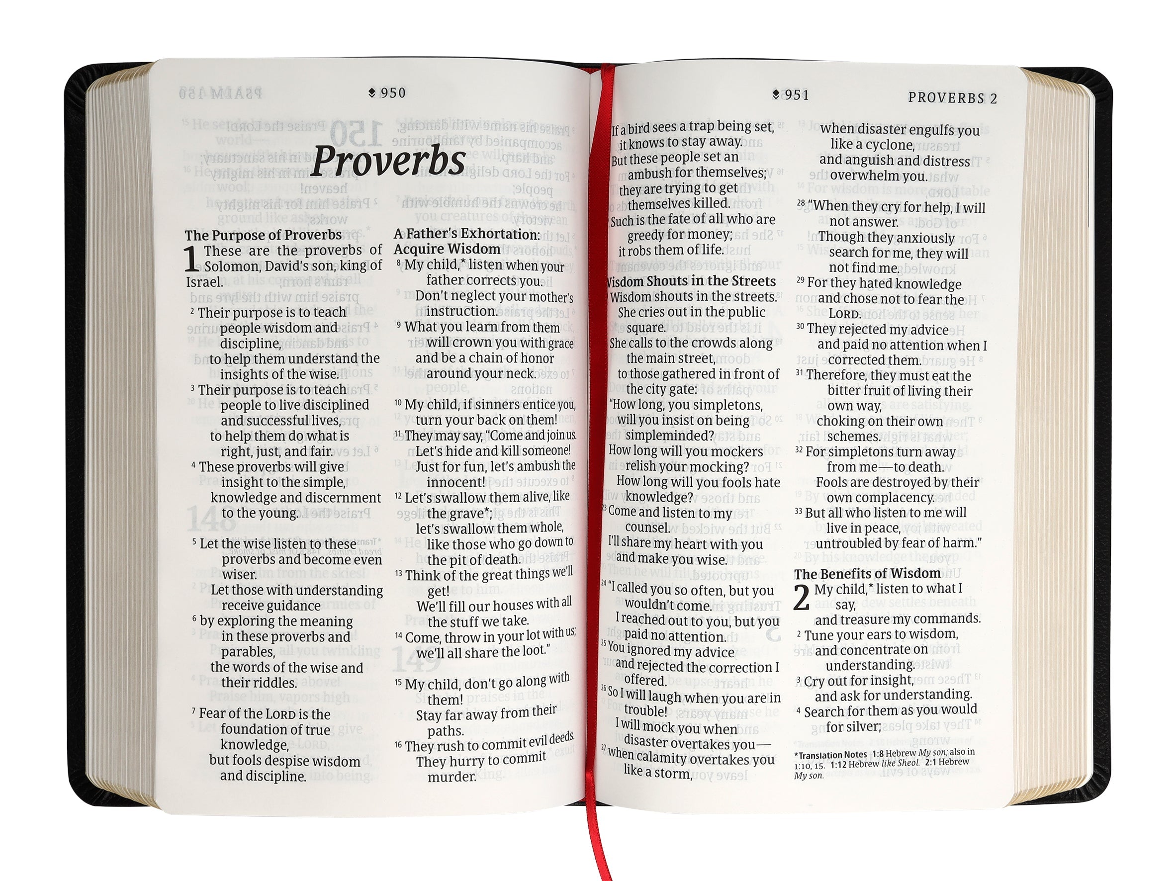 Personal size giant print Bible with red letter edition