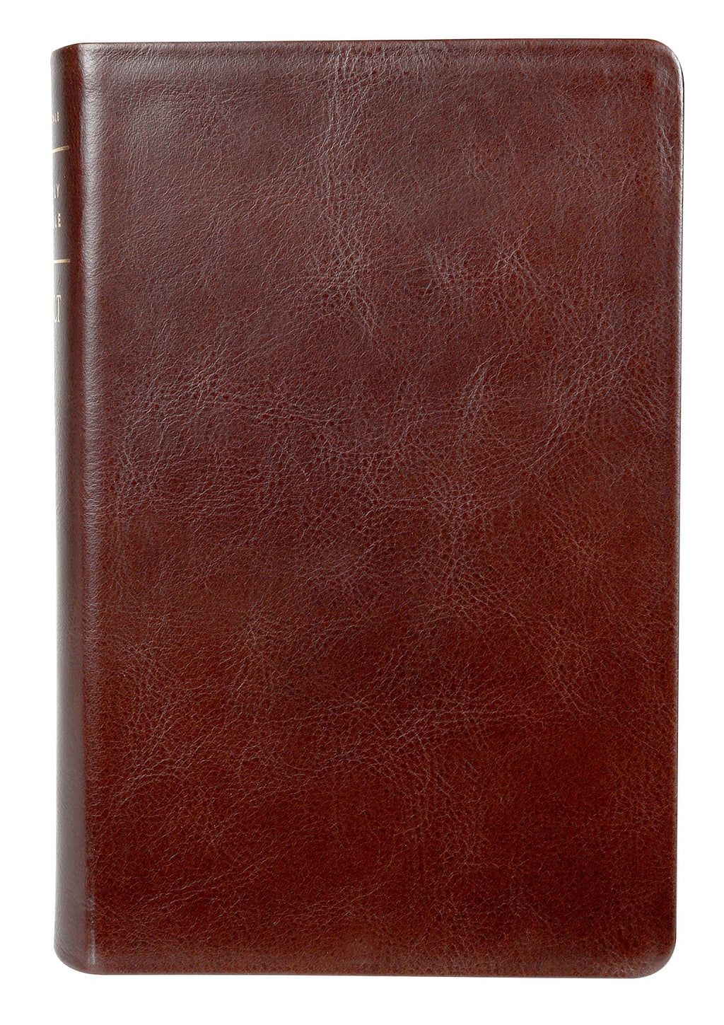 New Living Translation Personal Size Giant Print Bible in brown leather with Filament Enabled technology