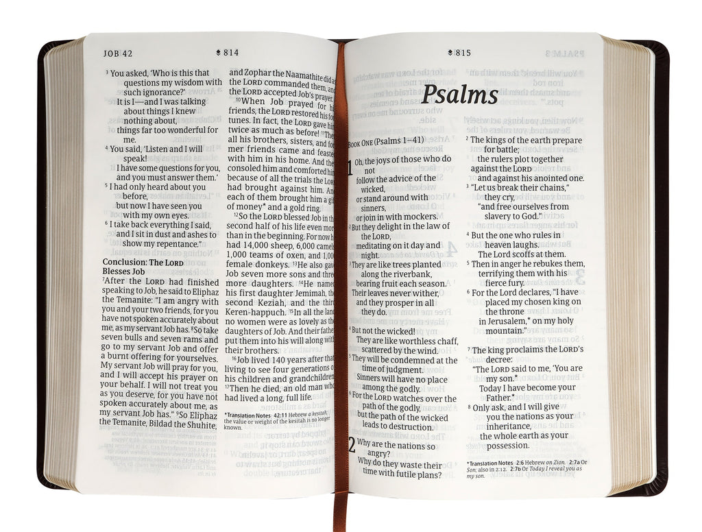 Close-up of the New Living Translation Personal Size Giant Print Bible with Filament Enabled edition in brown leather