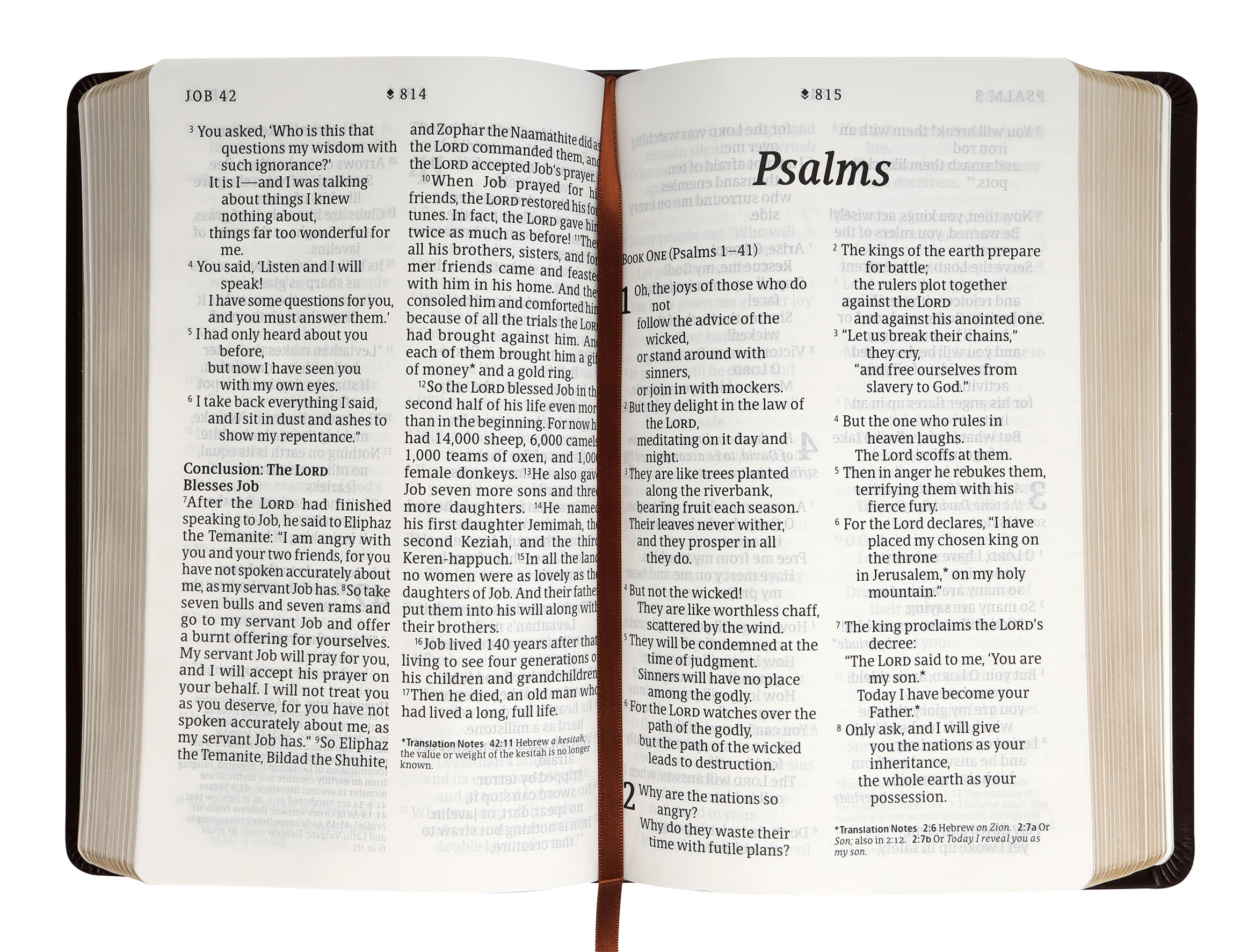 Close-up of the New Living Translation Personal Size Giant Print Bible with Filament Enabled edition in brown leather