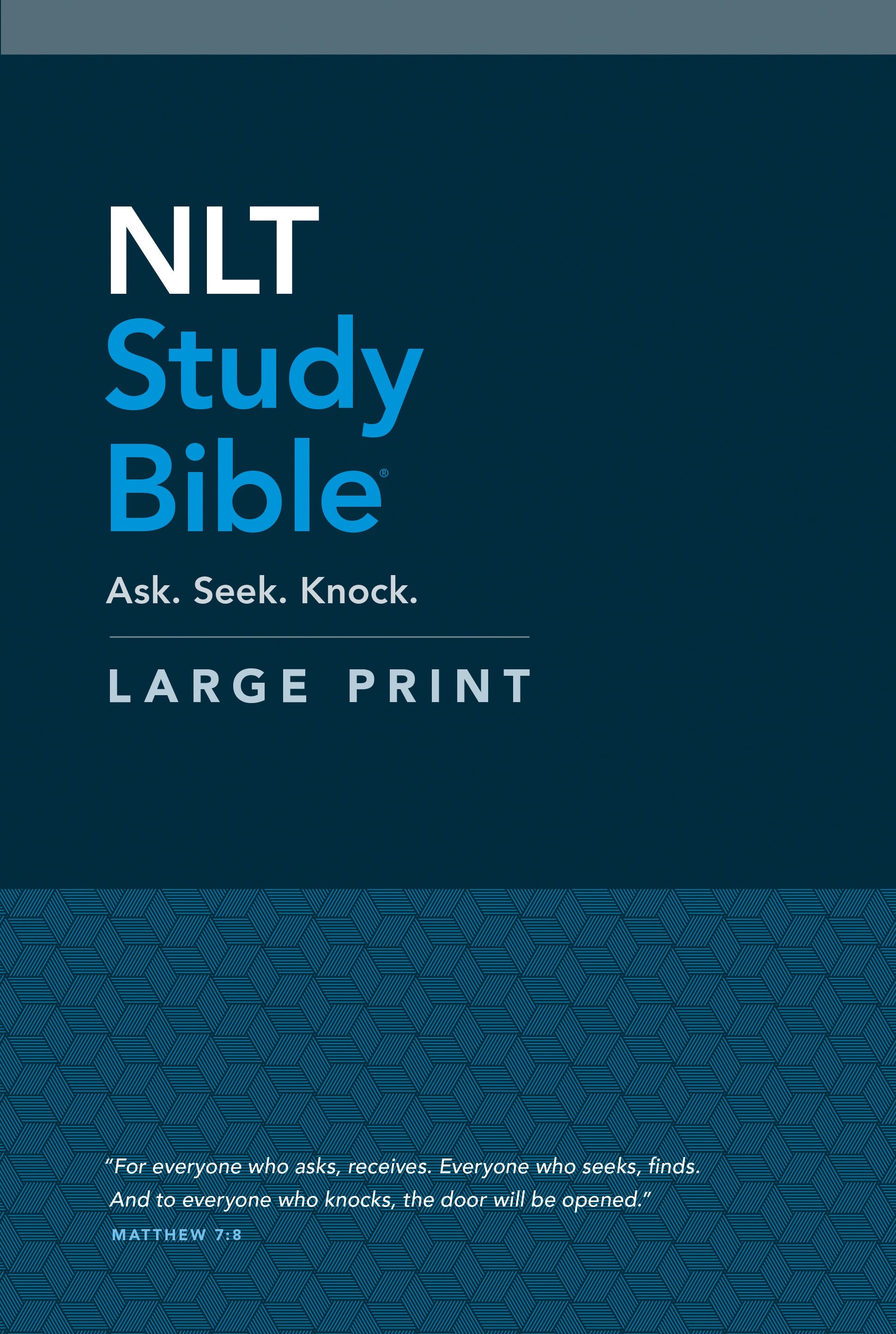 Close-up of NLT Study Bible Large Print Edition pages with annotations