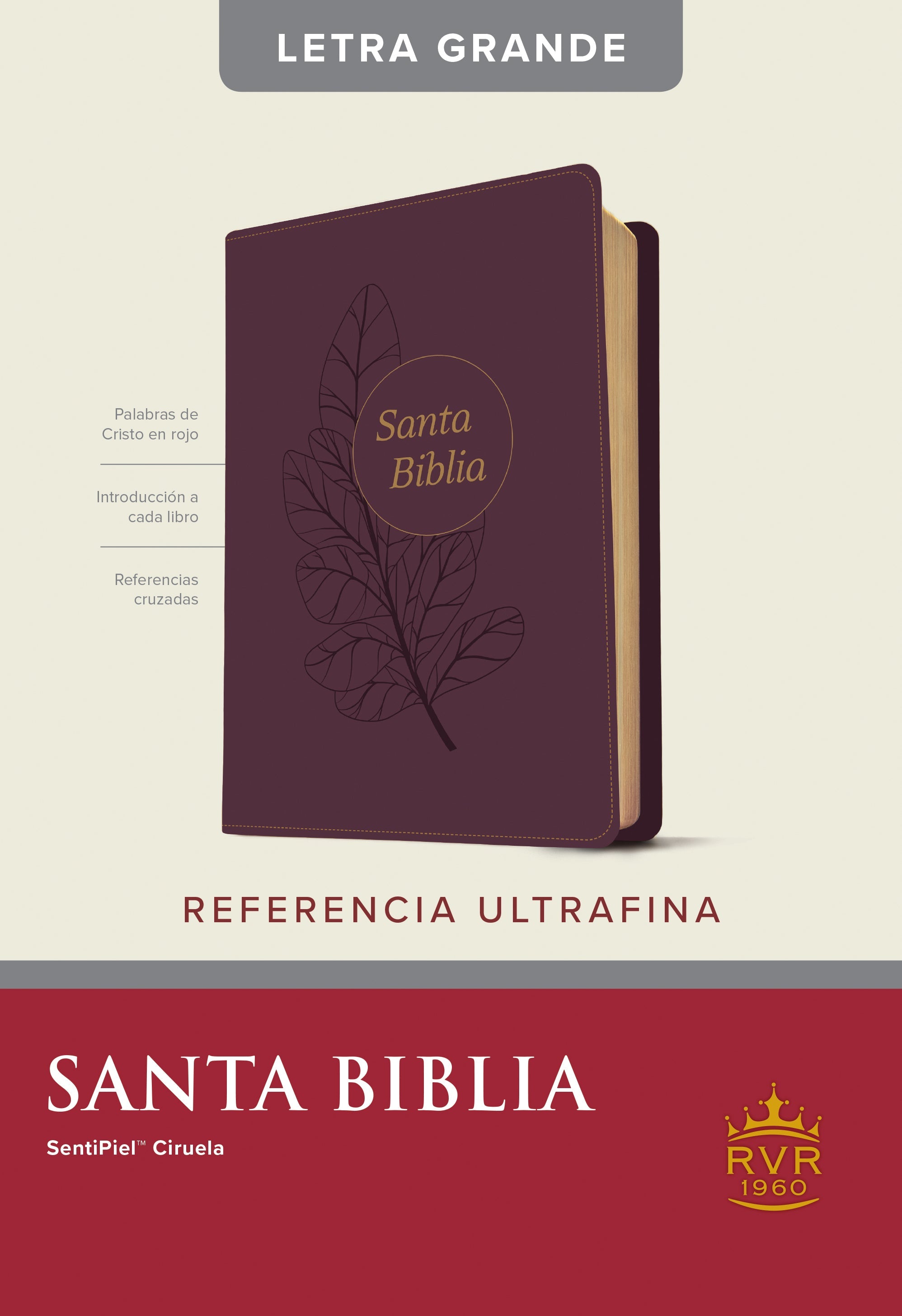 Reina Valera 60 Santa Biblia Edicion De Referencia Ultrafina Letra Grande en Ciruela con edicion de letra roja