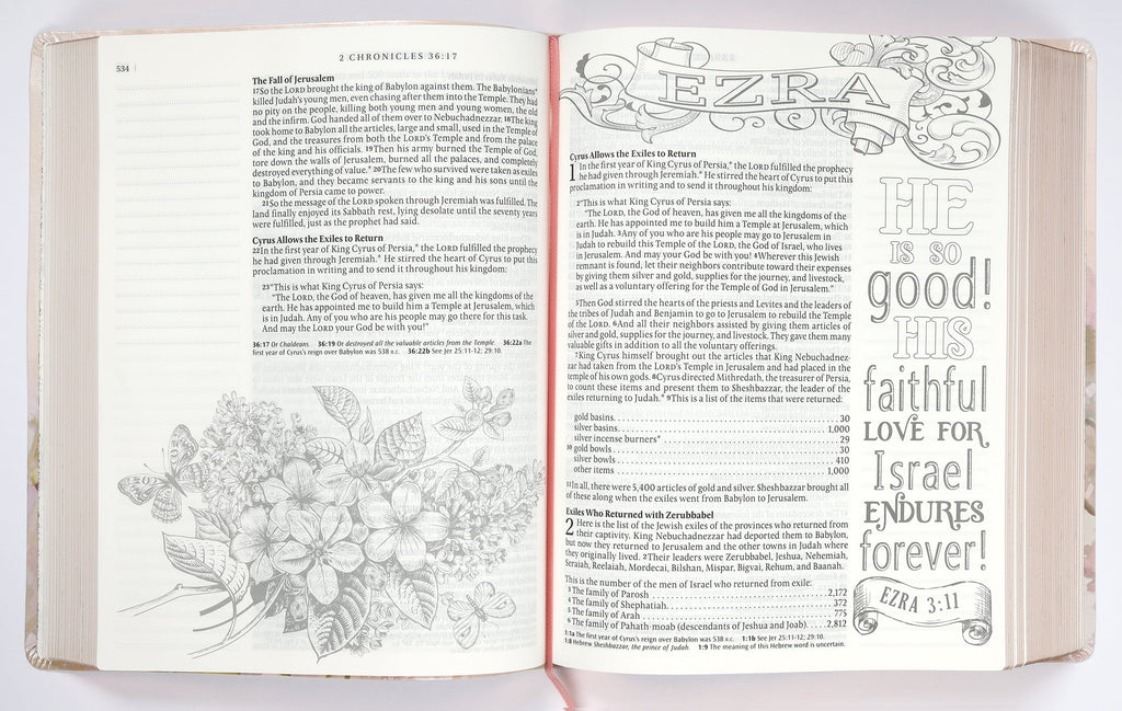Large Print NLT Inspire Catholic Bible with pink fields and rose gold accents