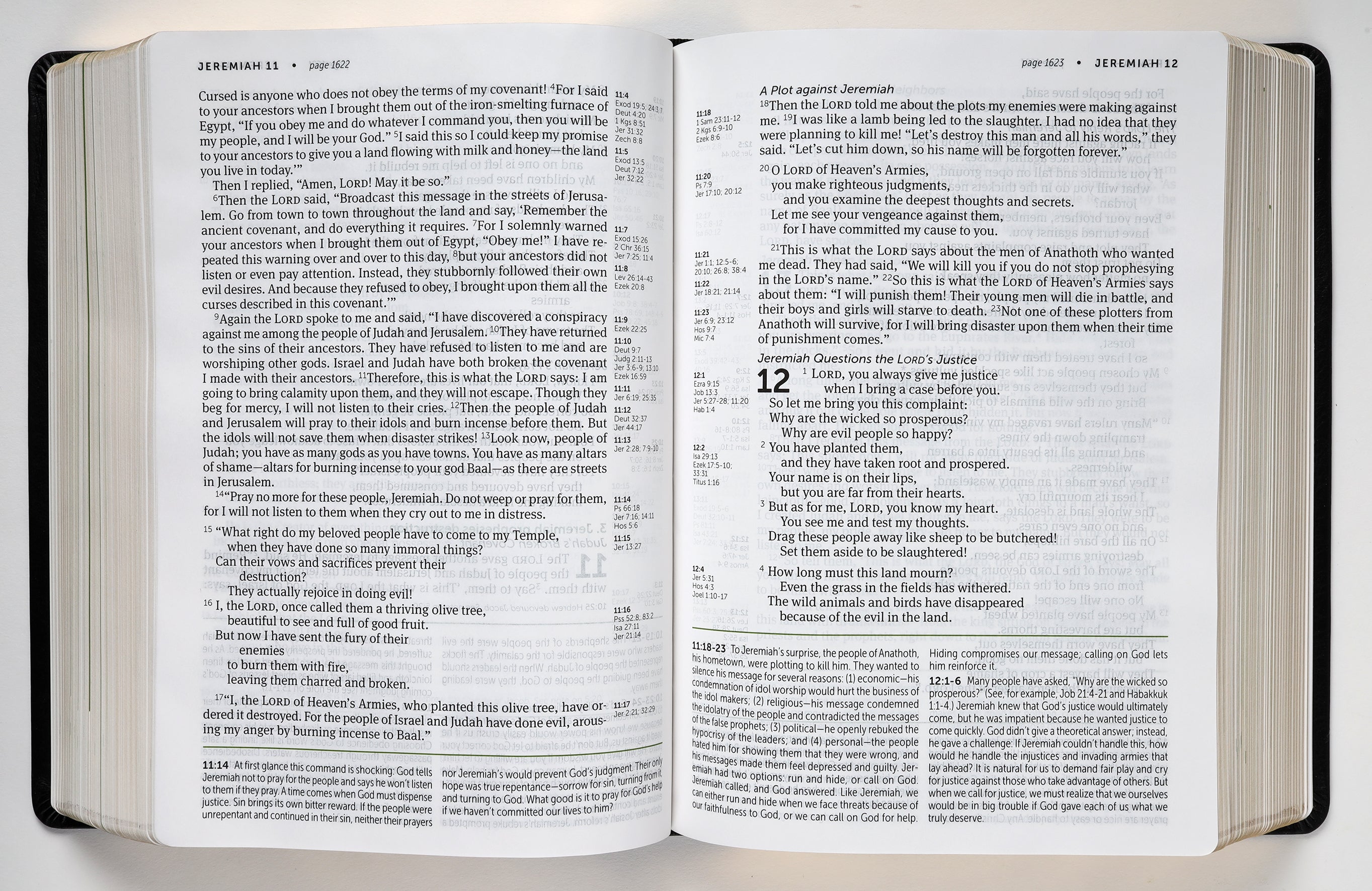 NLT Life Application Study Bible 3rd Edition Large Print Black (Red Letter Edition)