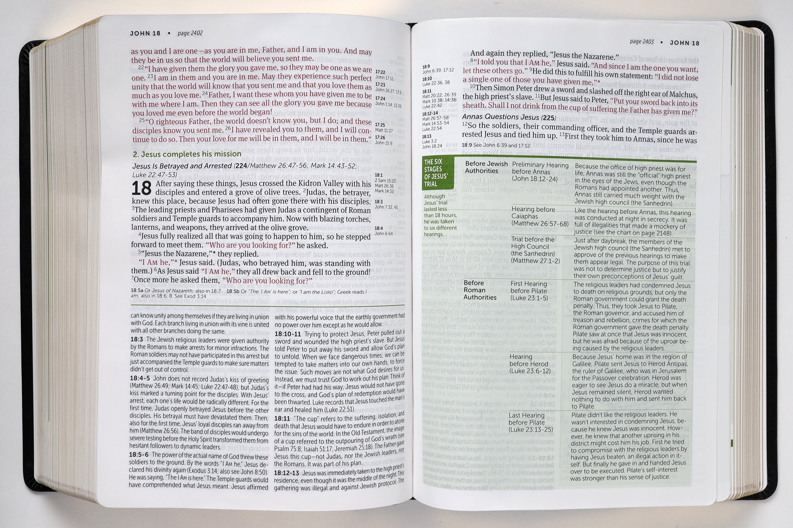 NLT Life Application Study Bible 3rd Edition Large Print Black (Red Letter Edition)