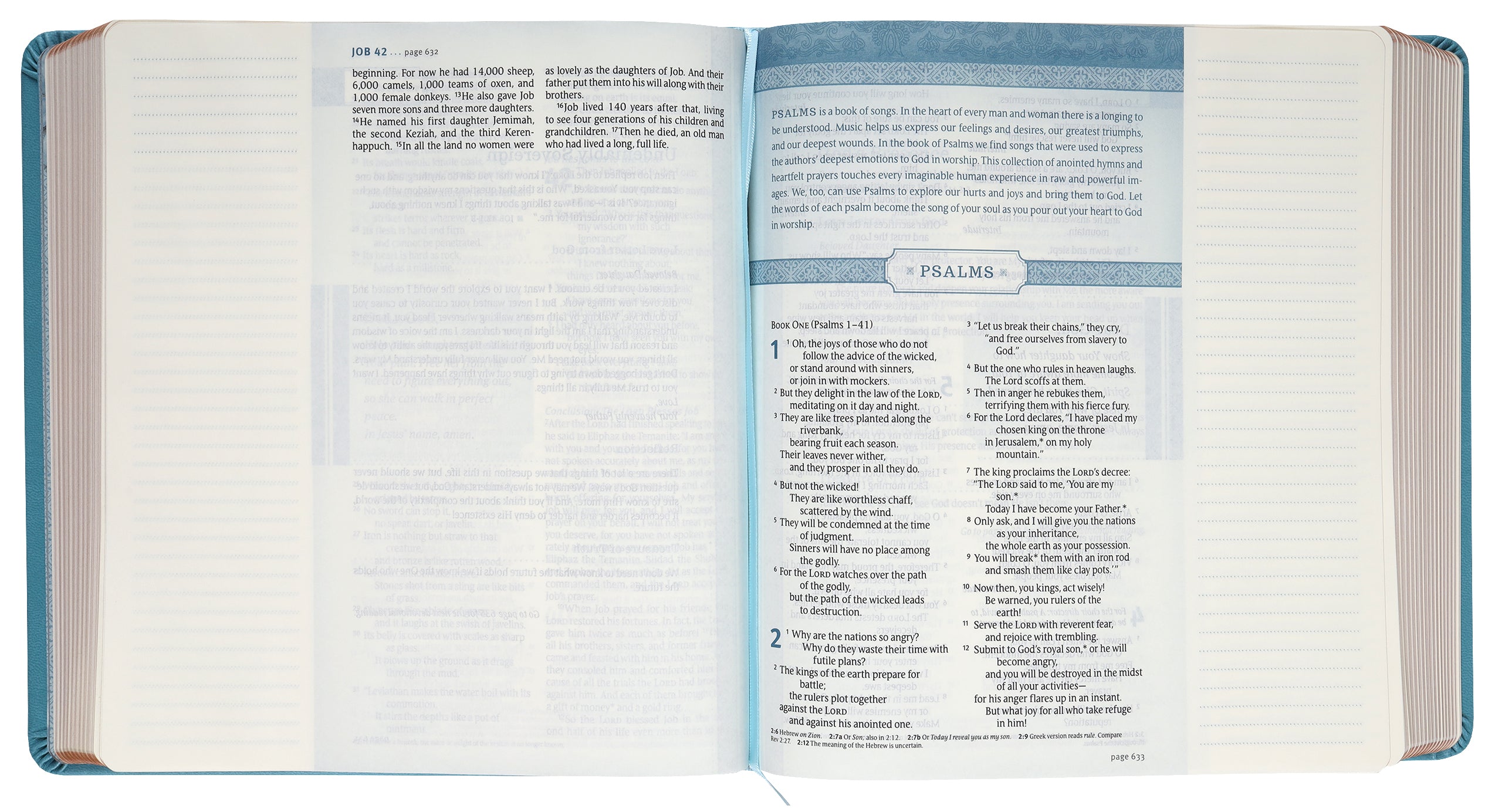 NLT Thrive Black Letter Devotional Journaling Bible