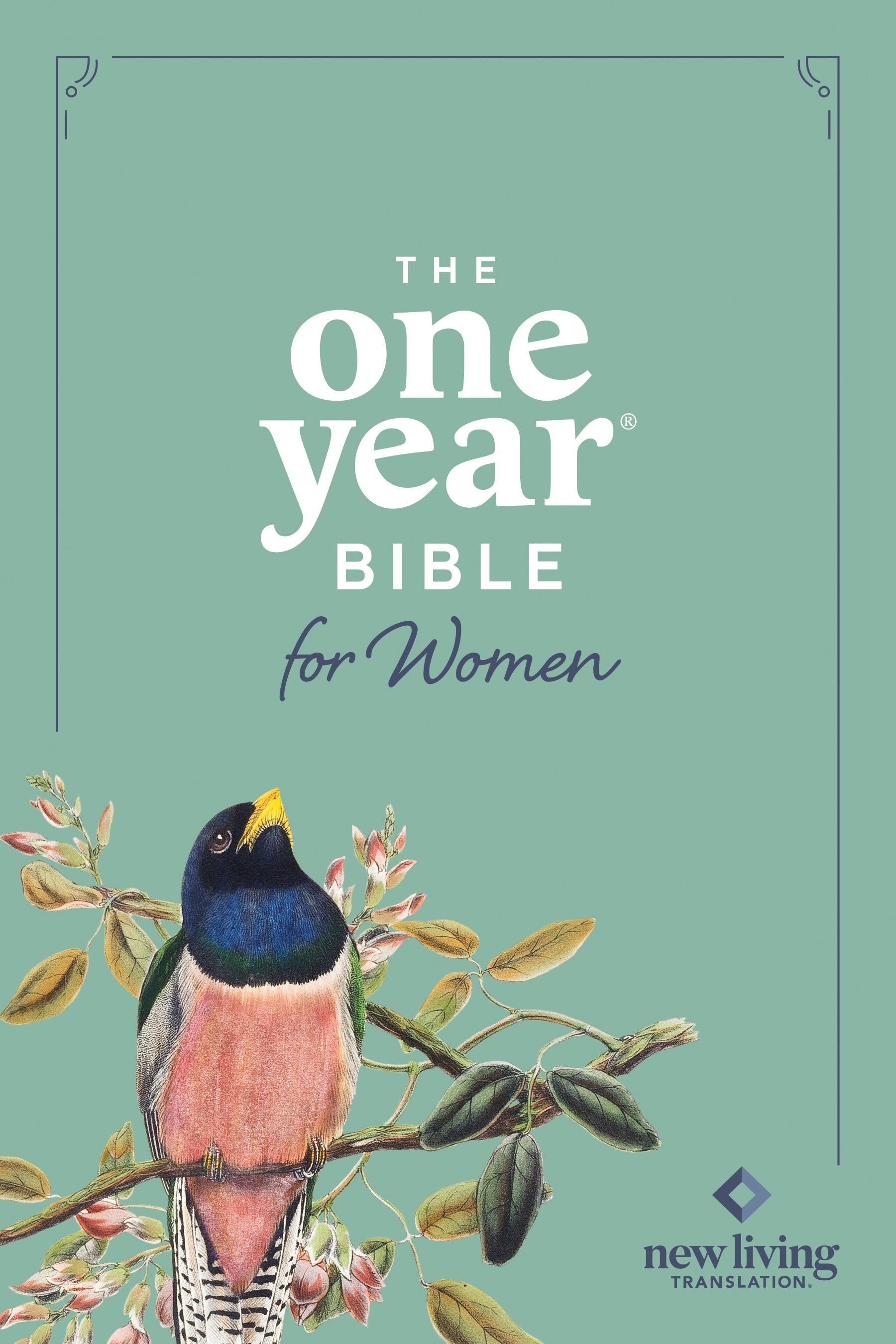 NLT One Year Devotional Bible for Women, featuring daily readings and reflections for women seeking a deeper connection with 