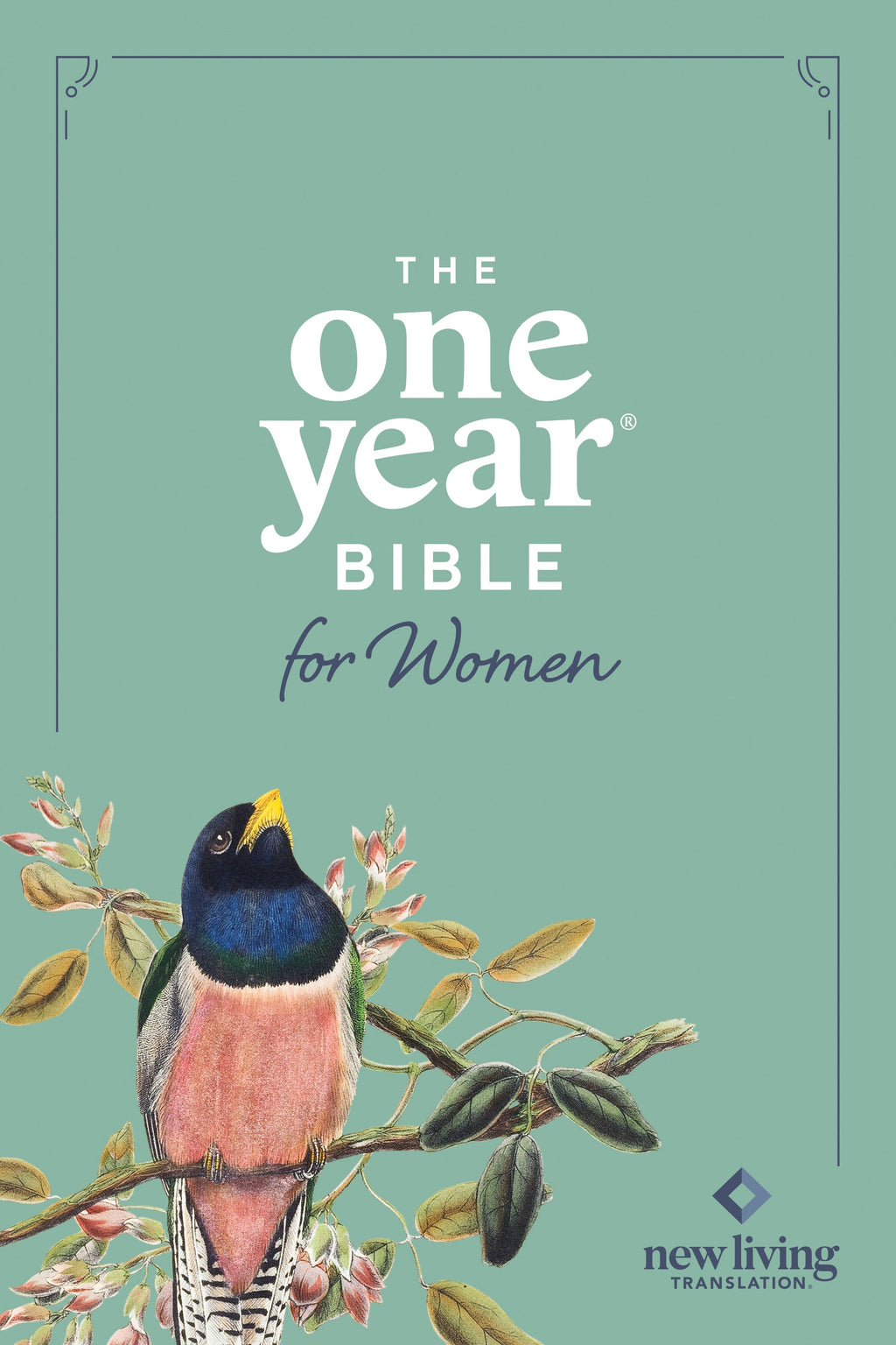 NLT One Year Devotional Bible for Women, a daily guide for women's spiritual growth and reflection.