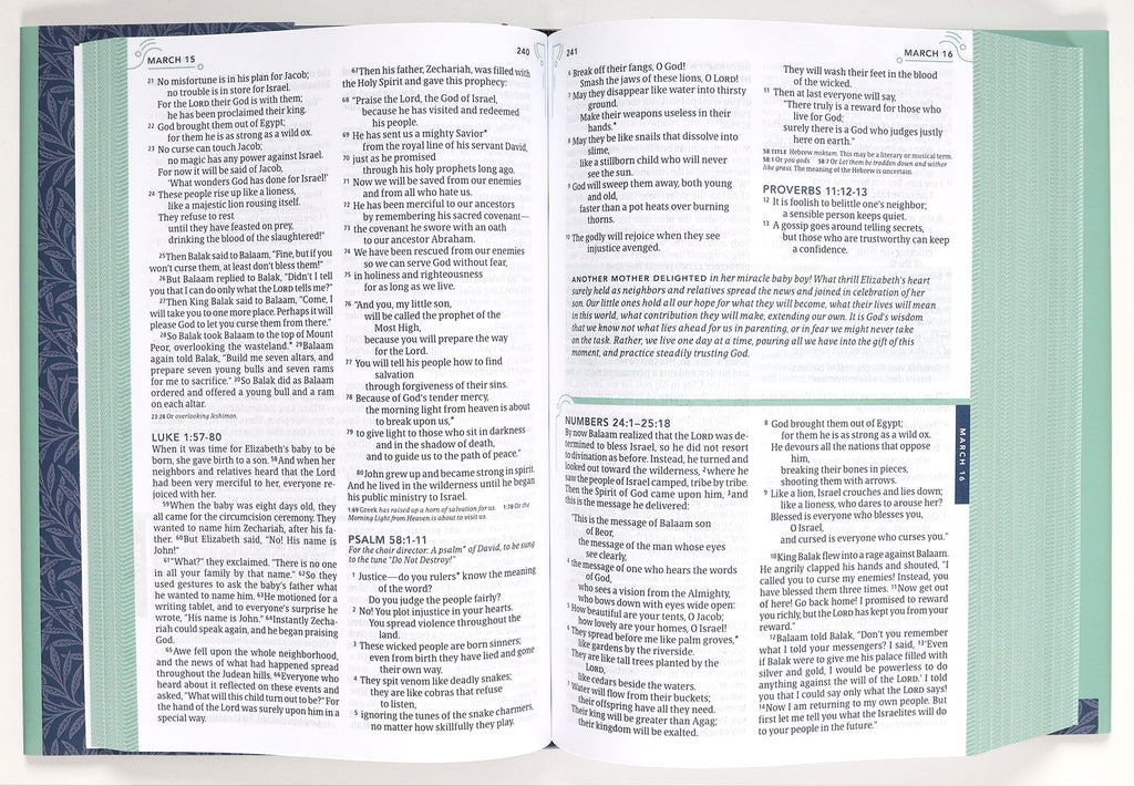 Daily devotions for women with the NLT One Year Devotional Bible, a trusted companion for spiritual growth and self-reflectio