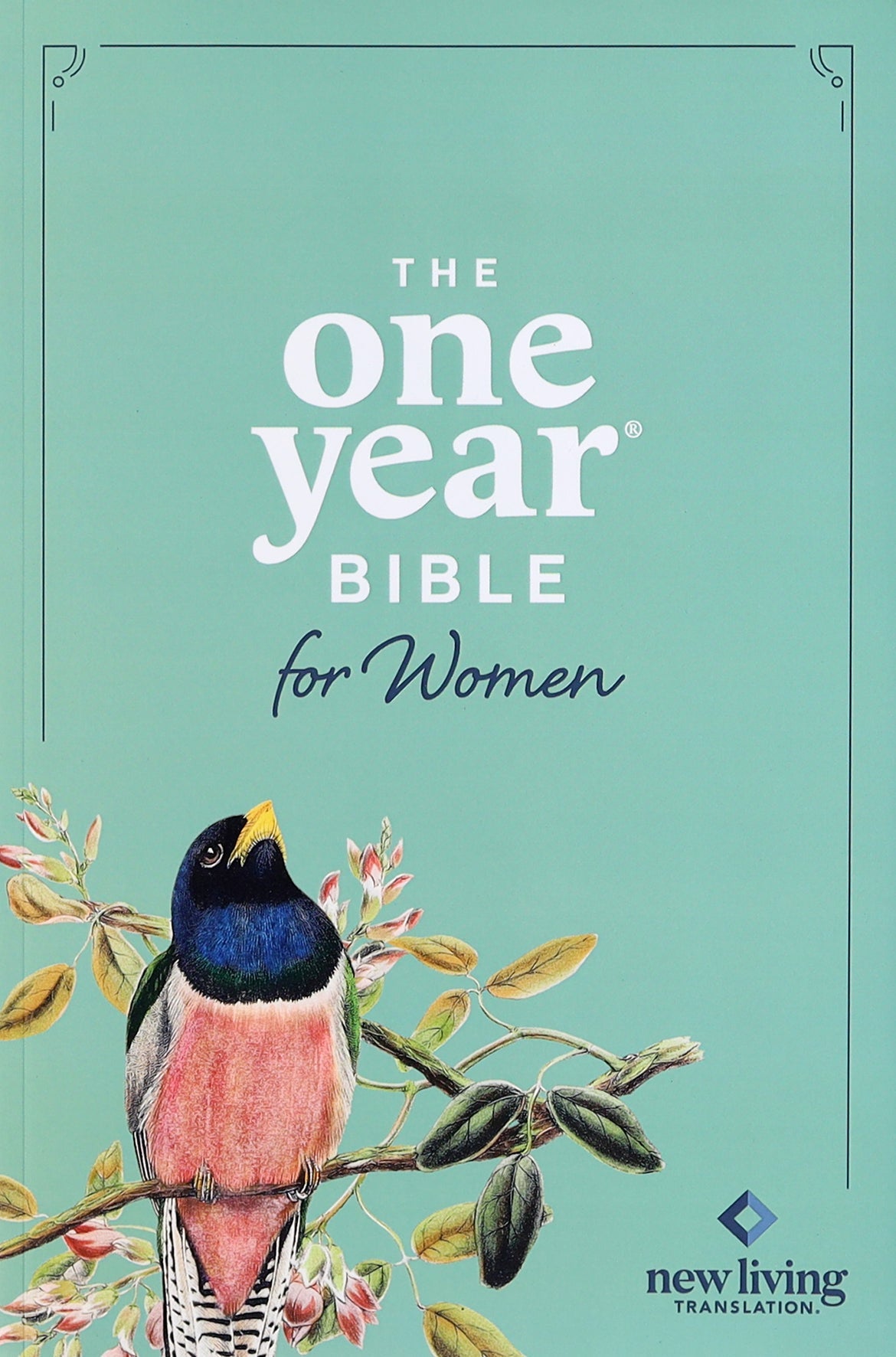 NLT One Year Bible For Women, inspirational daily readings