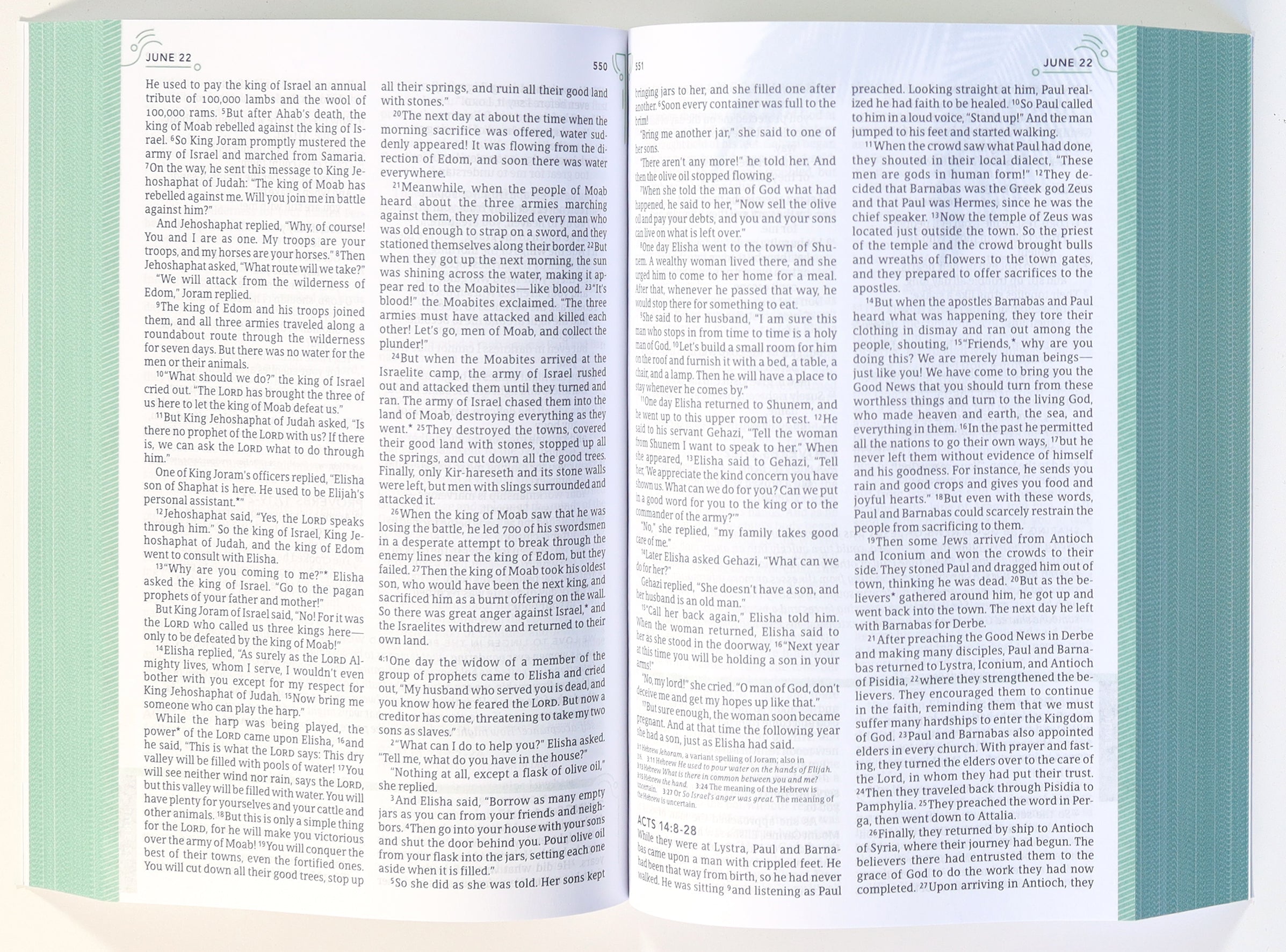 One Year Devotional Journaling Bible NLT for women