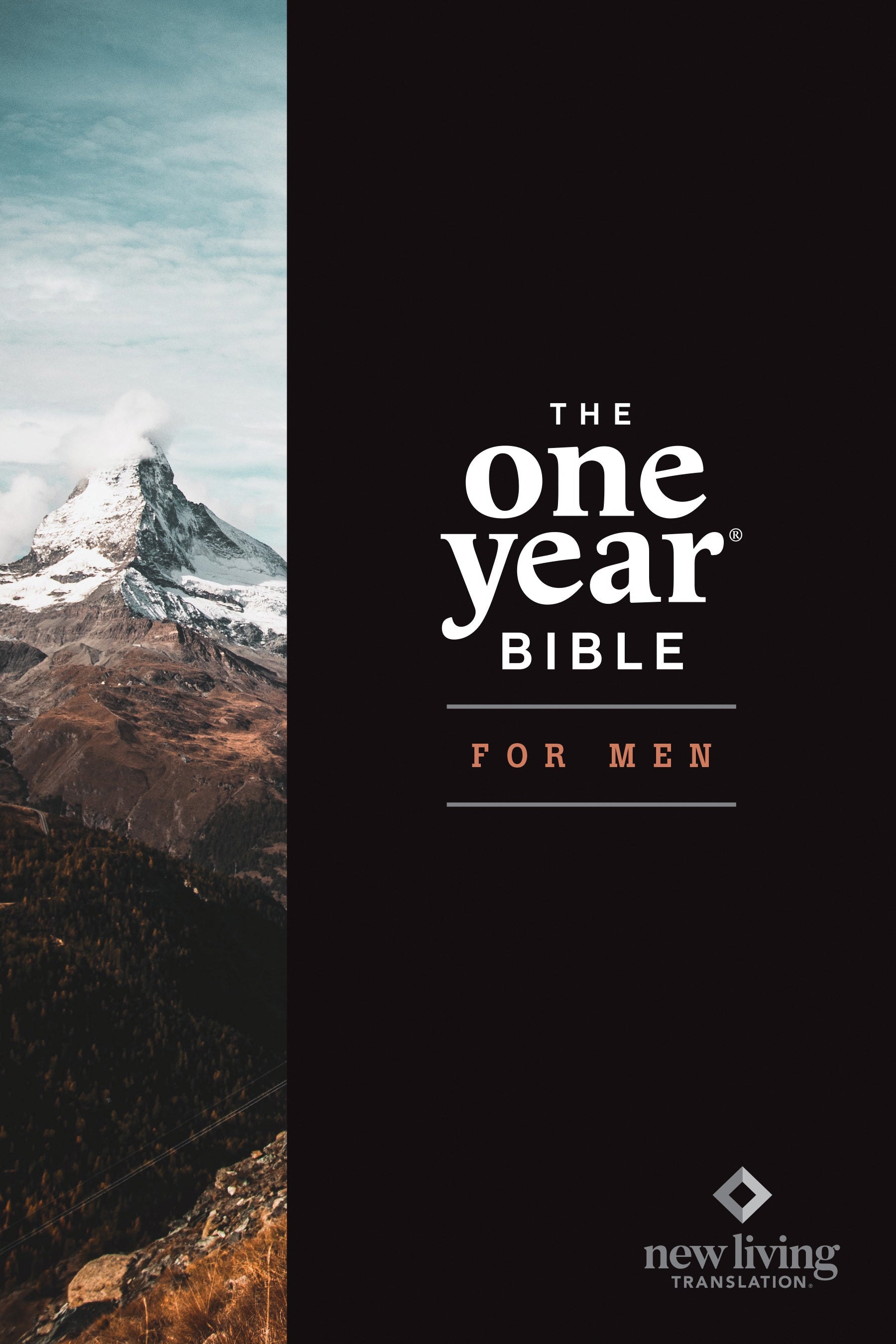Daily readings from the NLT One Year Bible for Men, inspiring spiritual transformation.