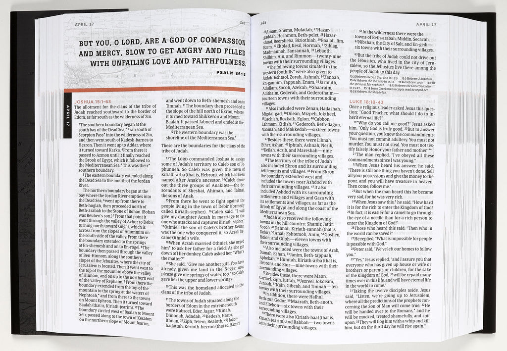 Buy NLT One Year Bible for Men online, a daily reading guide for men's spiritual development.