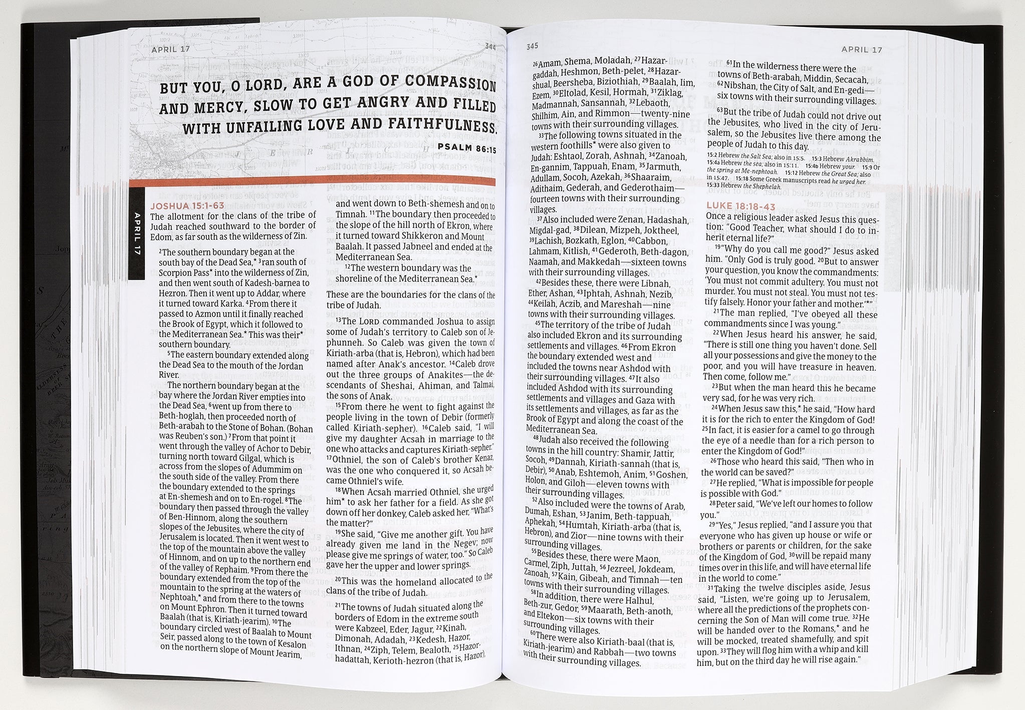 Buy NLT One Year Bible for Men online, a daily reading guide for men's spiritual development.