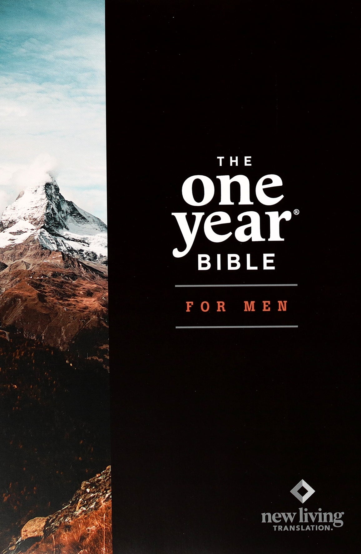 Close-up of NLT The One Year Devotional Bible for Men cover art